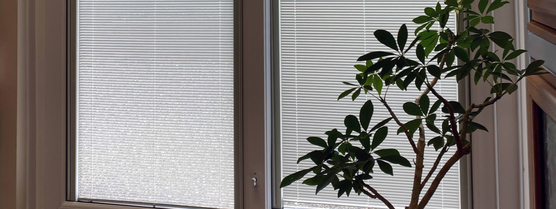 Integral Blinds – Venetian blinds in a double glazed unit