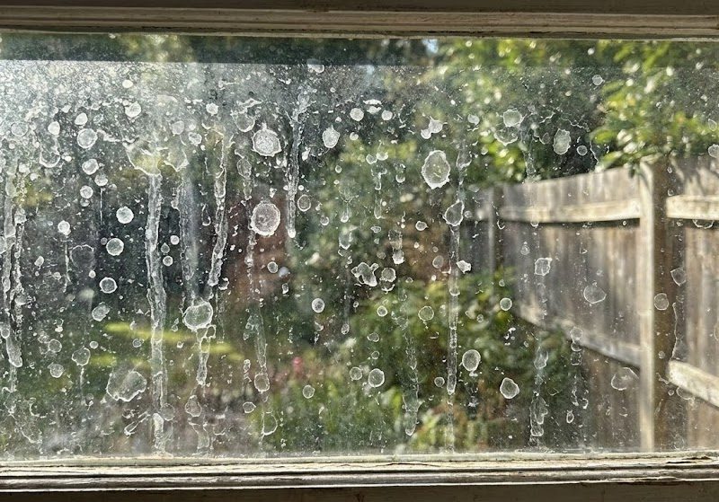 Hard Water Window Damage