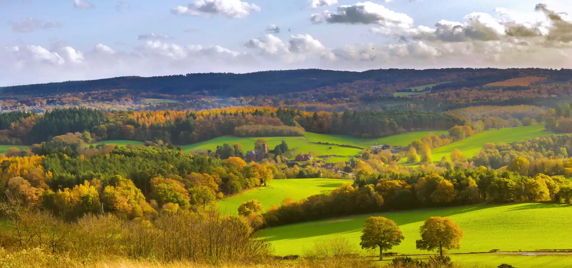 Double Glazing Surrey